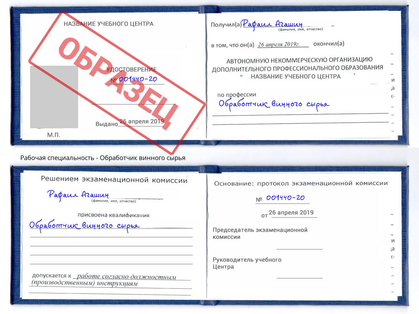 Обработчик винного сырья Борисоглебск