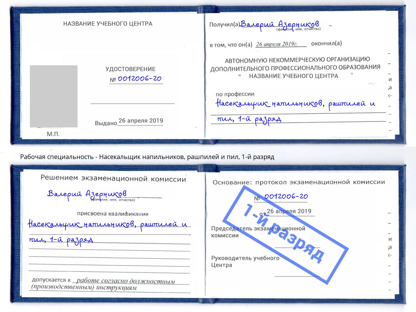 корочка 1-й разряд Насекальщик напильников, рашпилей и пил Борисоглебск