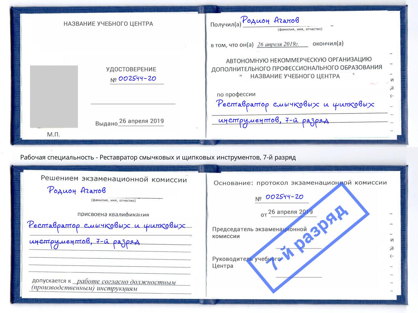 корочка 7-й разряд Реставратор смычковых и щипковых инструментов Борисоглебск